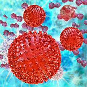 Herpesvirus i aktion
