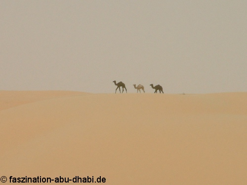 Behandler arkiv - abu dhabi rejsetips, din ærlige - detaljerede rejseguide
