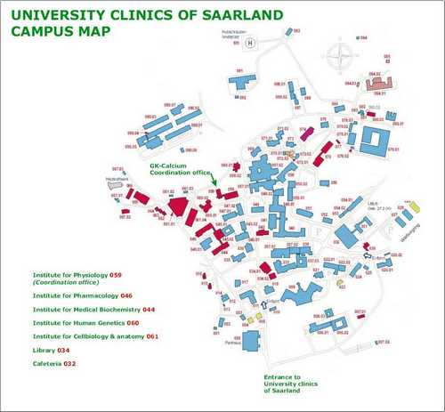 Saarland universitets medicinsk center - forskning